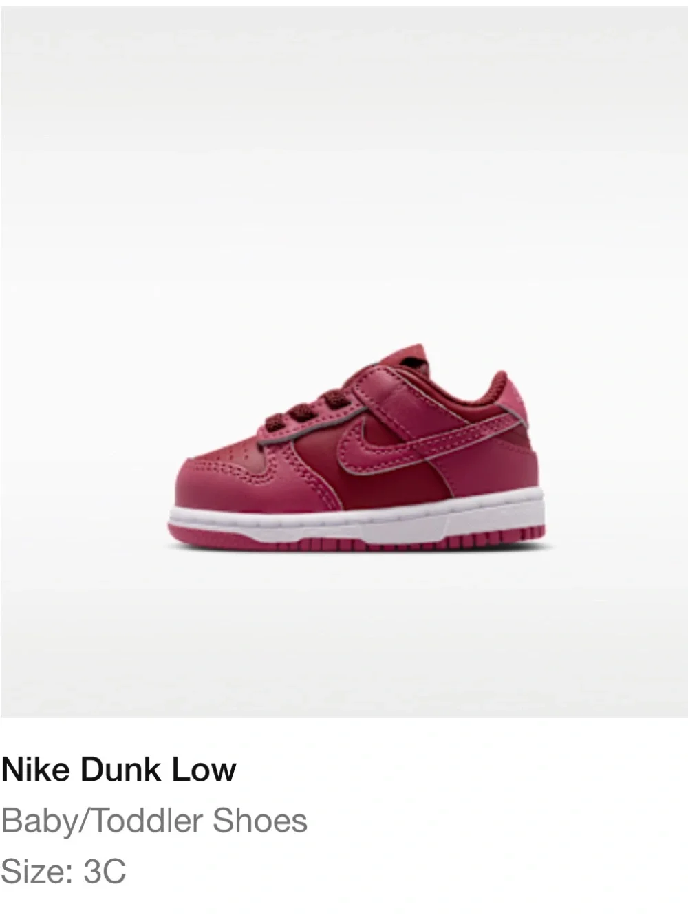 Nike Dunk Low Toddler Shoes